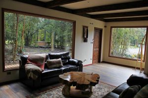 Dreamwoods is The Best Luxury Cabin with a hot tub in Puerto Varas